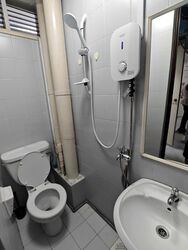 The Tanamera (D16), Condominium #480074731